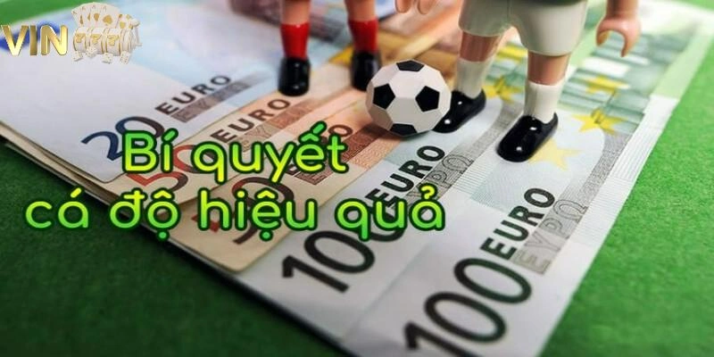 Ảnh minh họa: Hội viên cần áp dụng bí quyết cá cược thể thao để mang về chiến thắng