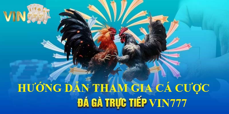 Ảnh minh họa: Hướng dẫn tham gia sảnh đá gà Vin777 chỉ với 4 bước đơn giản