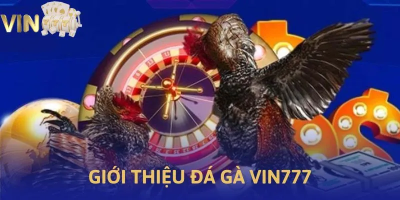 Ảnh minh họa về đá gà Vin777
