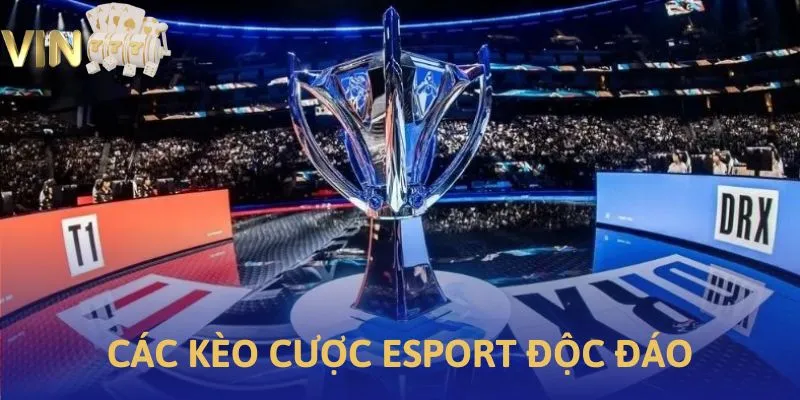 Ảnh minh họa các kèo cược độc đáo tại Vin777 ESports