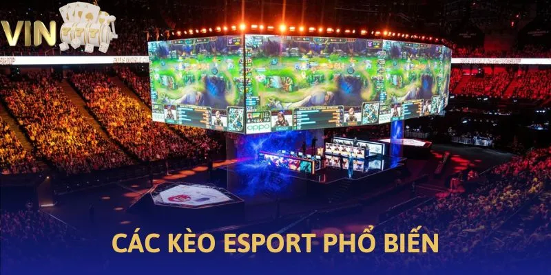 Ảnh minh họa về kèo Esport phổ biến tại Vin777